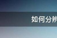 如何分辨豹龟公母 豹龟怎么分公母
