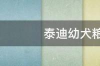 泰迪幼犬好养吗？ 泰迪幼犬