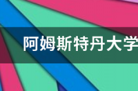 荷兰阿姆斯特丹大学(本科)商科一年的留学费用，还有是否要在中国读到大二才行？ 阿姆斯特丹大学研究生费用