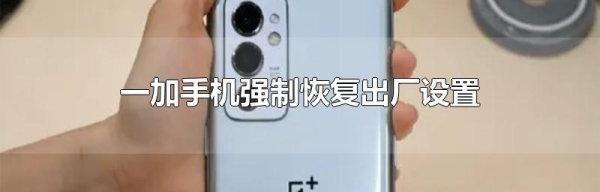 t019fec124e120ab2b5.jpg