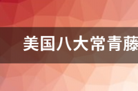常春藤大学，是什么意思？ 美国常青藤大学什么意思