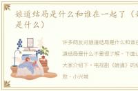 娘道结局是什么和谁在一起了（娘道结局是什么）