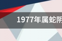 阴历四月份出生的是什么星座？ 四月份生日是什么星座?