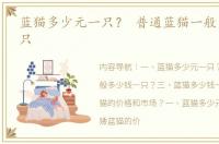 蓝猫多少元一只？ 普通蓝猫一般多少钱一只