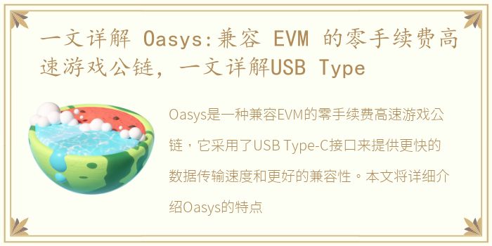 一文详解 Oasys:兼容 EVM 的零手续费高速游戏公链，一文详解USB Type