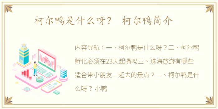 柯尔鸭是什么呀？ 柯尔鸭简介