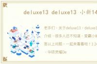 deluxe13 deluxe13 小新14