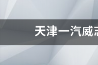 天津一汽威志v2有怠速马达吗？ 天津一汽威志v2手动挡