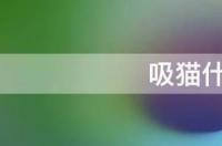 吸猫什么意思啊？ 吸猫是什么意思网络语
