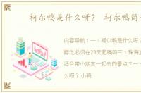 柯尔鸭是什么呀？ 柯尔鸭简介