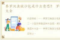 养罗汉鱼放沙包是什么意思？ 罗汉鱼播放大全
