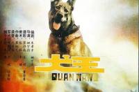 姚守岗的近况 姚守岗犬王道歉