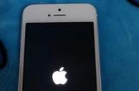iphone5开不了机 白苹果一闪一闪 iphone5s开机循环白苹果