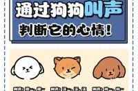 用什么方法能敲出小鸡,小狗,青蛙叫的声音？ 狗的叫声录音mp3