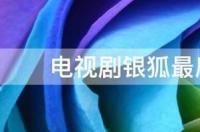 电视剧银狐最后的结局是什么 银狐电视剧在线观看