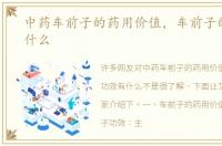 中药车前子的药用价值，车前子的功效有什么