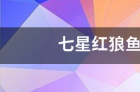 红狼尖峰大物版鱼竿质量怎么样？ 红狼鱼竿质量怎么样