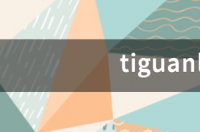 tiguanl大众330tsi是什么车？ tiguan tsi是什么车