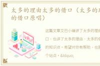 太多的理由太多的借口（太多的理由太多的借口原唱）