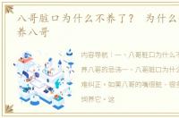 八哥脏口为什么不养了？ 为什么说千万别养八哥