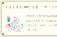 下雪了作文600字写事 下雪了作文600字