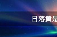 什么是日落黄？ 日落黄是什么东西