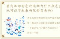 塞内加尔粉色玫瑰湖为什么颜色会变（游泳可以浮起来吗里面有鱼吗）