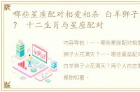 哪些星座配对相爱相杀 白羊狮子火花满天？ 十二生肖与星座配对