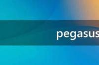 pegasus什么意思 pegasus