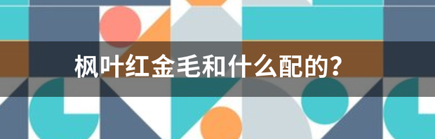 t019c9b97cb88ef110c.png
