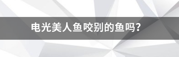 t016121654afeffc3fc.png