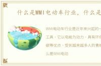 什么是WMI电动车行业，什么是WMI