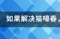 公猫闹春怎么快速制止？ 制止猫咪嚎春的快速方法