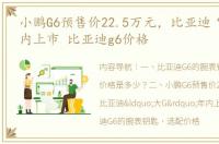 小鹏G6预售价22.5万元，比亚迪“大G”年内上市 比亚迪g6价格
