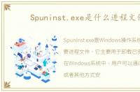 Spuninst.exe是什么进程文件