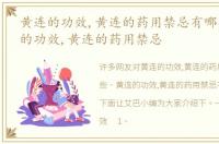黄连的功效,黄连的药用禁忌有哪些，黄连的功效,黄连的药用禁忌