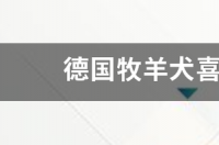 边牧可以吃什么蔬菜？ 牧羊犬喜欢吃什么蔬菜