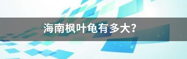 t01a296b123b8f02f1d.png
