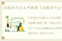 沈腾为什么又叫郝建（沈腾为什么叫郝建）