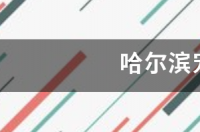哈尔滨宠物托运 哈尔滨宠物托运价格表