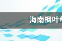 枫叶龟的寿命是多长啊？ 枫叶龟成体多大