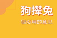 狗撵兔什么意思 2011狗撵兔陕北行