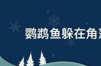 鹦鹉鱼躲在角落里不动怎么办 鹦鹉鱼死前征兆躲在角落里