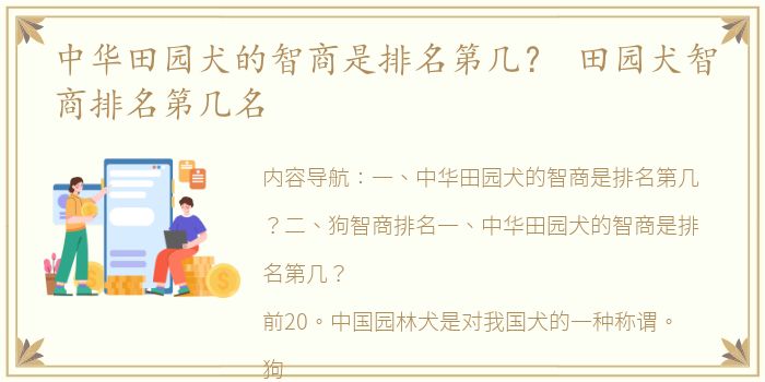 中华田园犬的智商是排名第几？ 田园犬智商排名第几名
