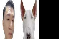 极限挑战里牛头梗孙红雷是哪一期？ 牛头梗孙红雷是哪一期