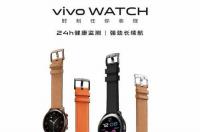vivo第一部智能机是什么型号的 vivo第一款智能手机