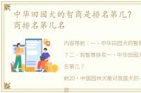 中华田园犬的智商是排名第几？ 田园犬智商排名第几名