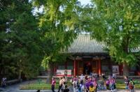 北京必去景点都有哪些 北京必打卡景点