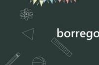 这个啥牌子的车？ borrego是什么车