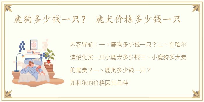 鹿狗多少钱一只？ 鹿犬价格多少钱一只